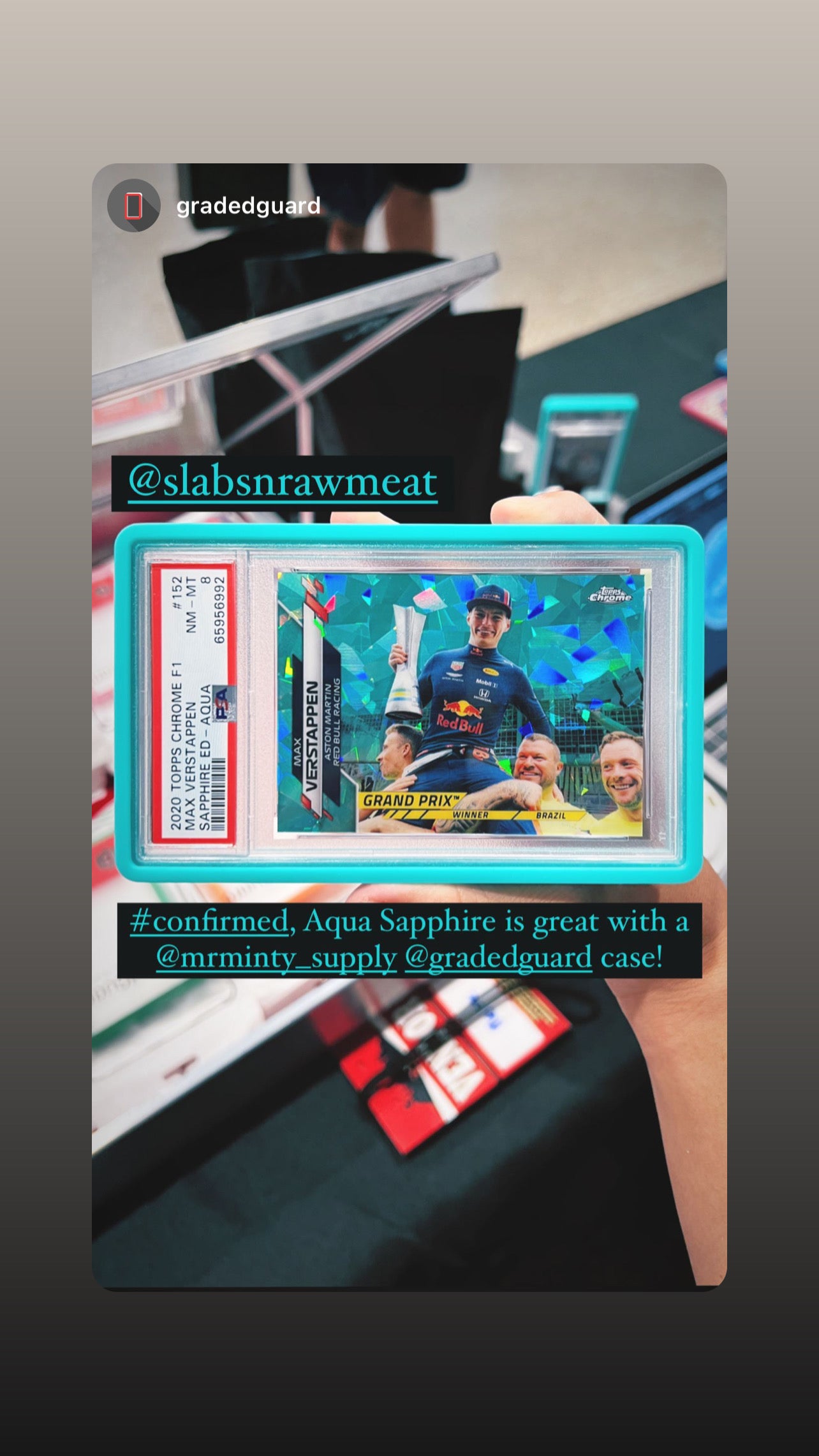 GRADED GUARD X MR. MINTY - GRADED CARD CASE