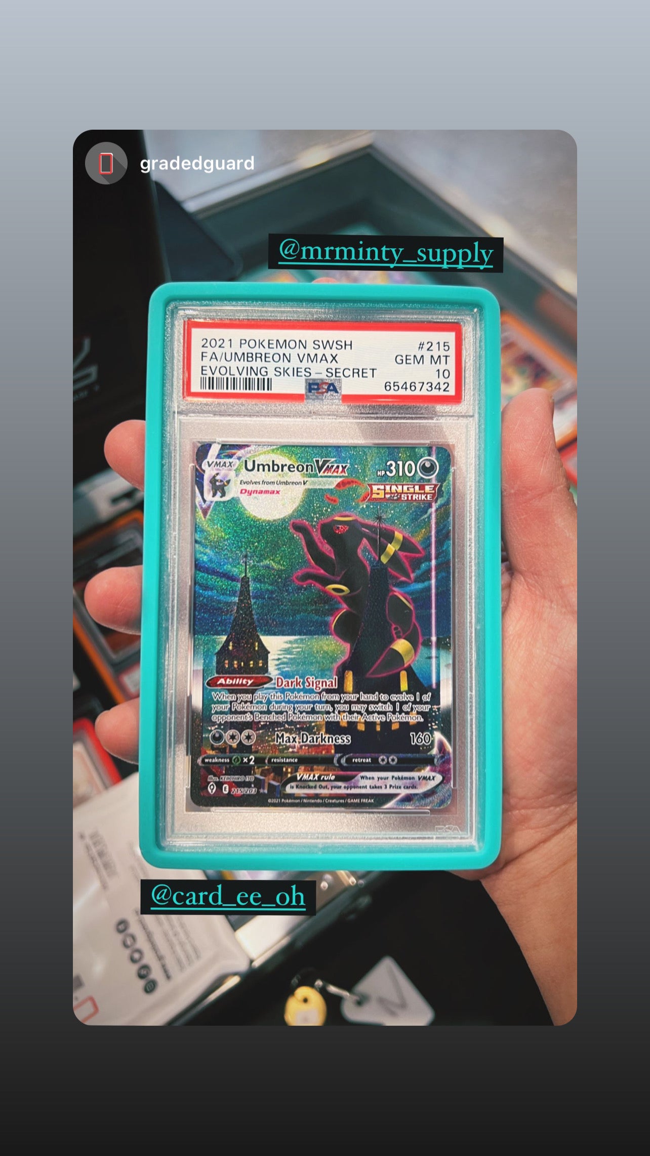 GRADED GUARD X MR. MINTY - GRADED CARD CASE